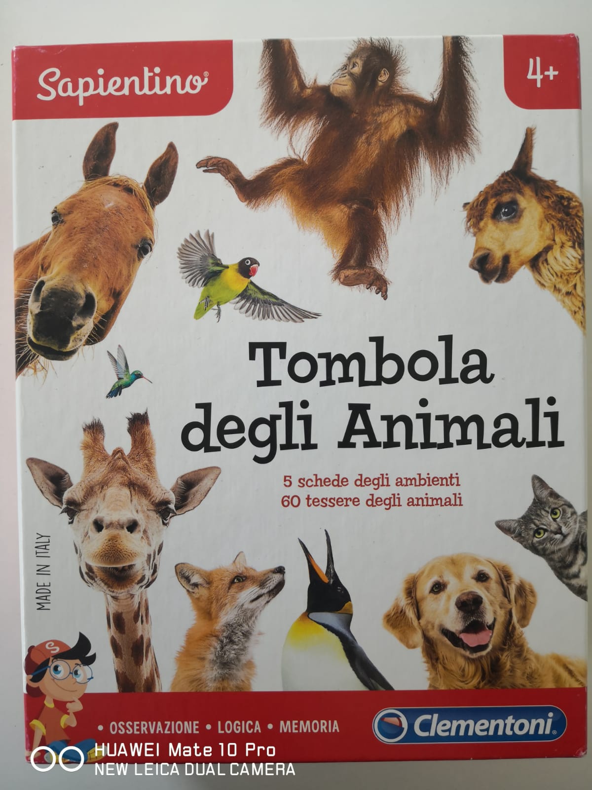 Tombola degli animali