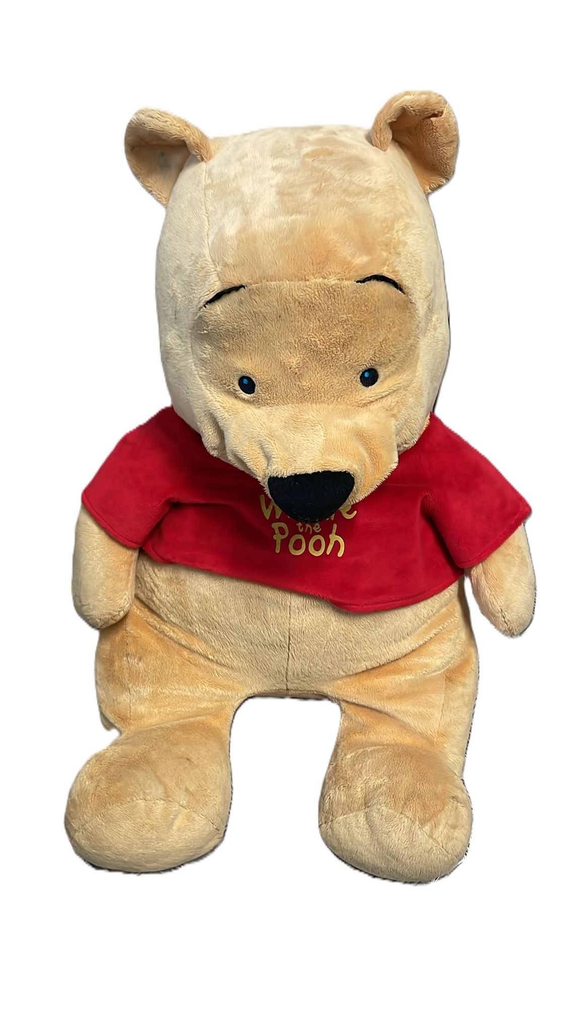 Winnie the pooh